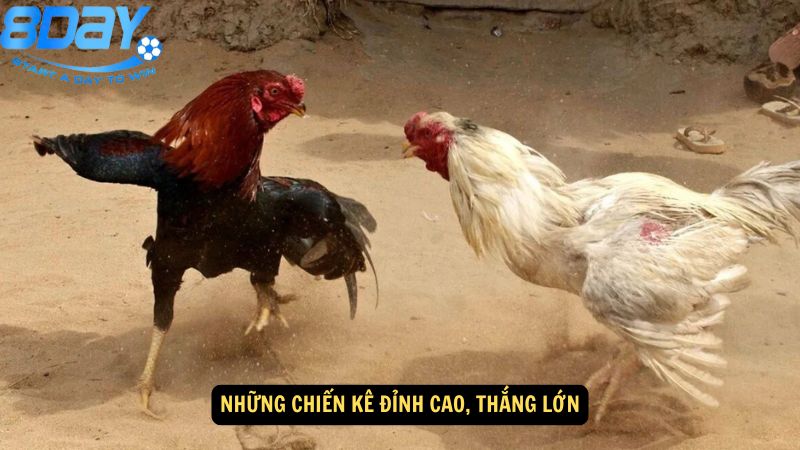 da-ga-c1-thai-lan