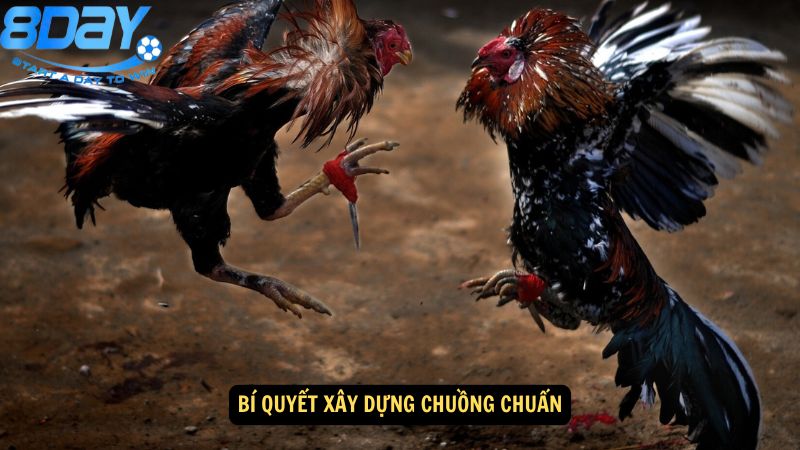 mo-hinh-nuoi-ga-da