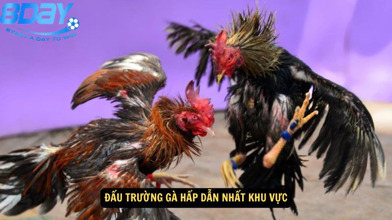 truong-ga-dak-puer