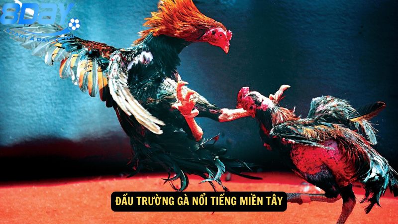 truong-ga-moc-hoa